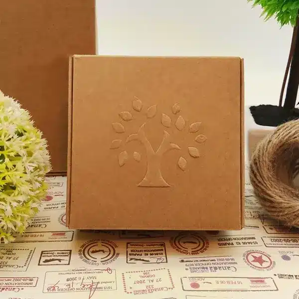 Elegant kraft embossed box for premium branding USA